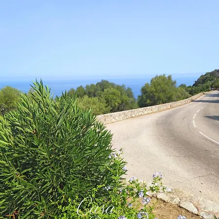 Maison De Village A Corbara, Casa Di Mirlo