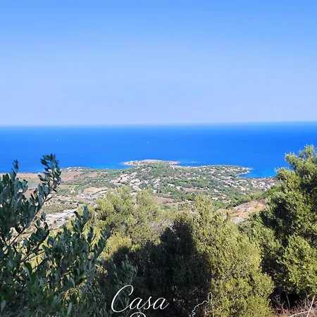 Maison De Village A Corbara, Casa Di Mirlo
