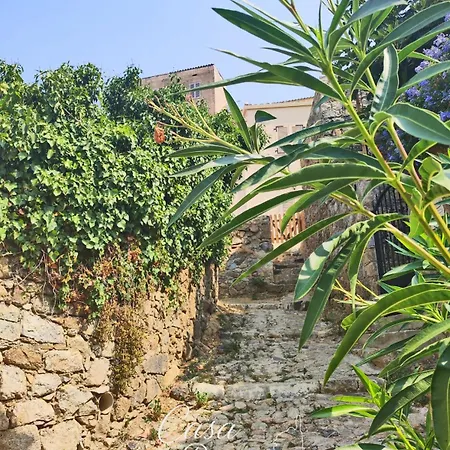 Maison De Village A Corbara, Casa Di Mirlo * Corbara