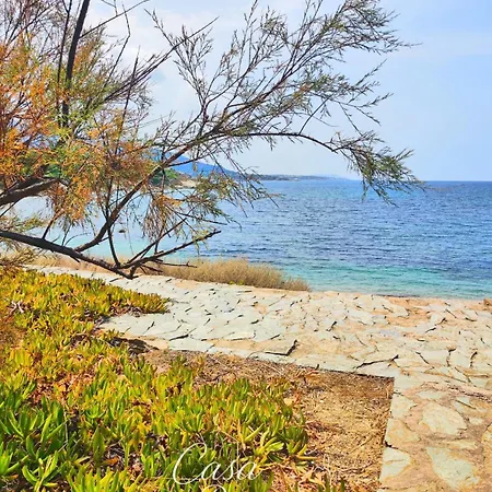 Maison De Village A Corbara, Casa Di Mirlo Corbara