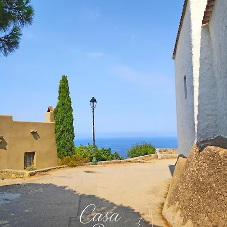 Maison De Village A Corbara, Casa Di Mirlo Corbara