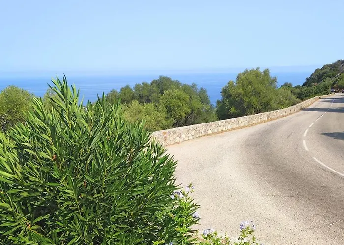Maison De Village A Corbara, Casa Di Mirlo