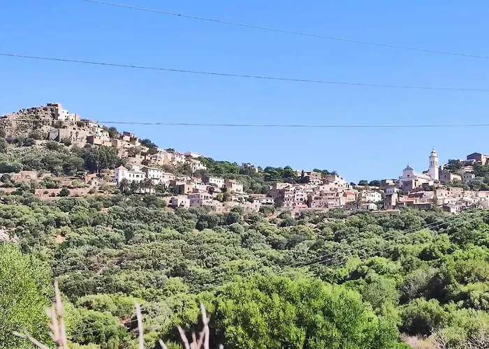 Maison De Village A Corbara, Casa Di Mirlo 科尔巴拉