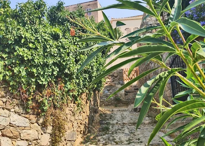 Maison De Village A Corbara, Casa Di Mirlo * 科尔巴拉