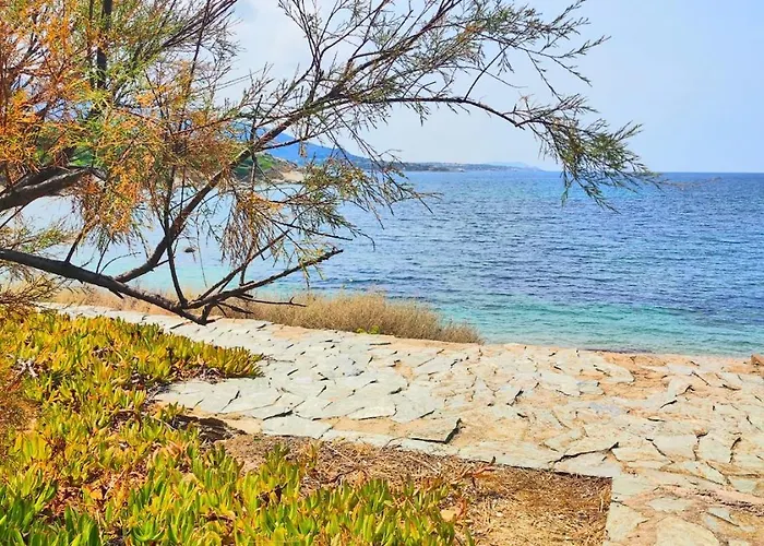 Maison De Village A Corbara, Casa Di Mirlo 科尔巴拉